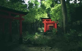 《伏见稻荷大社 英文版》- 3D真实模拟旅行游戏 | 休闲益智 | PC游戏