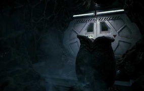 《异形:火力小队 豪华版》PC射击游戏 – 简体中文版 | 科幻射击游戏推荐