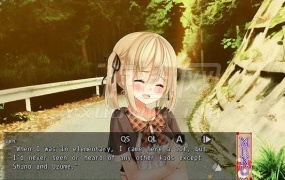 《根神京都姬骑士 英文版》解谜冒险游戏介绍与下载