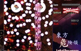 《东方危险领 英文版》:高难度射击游戏,挑战极限