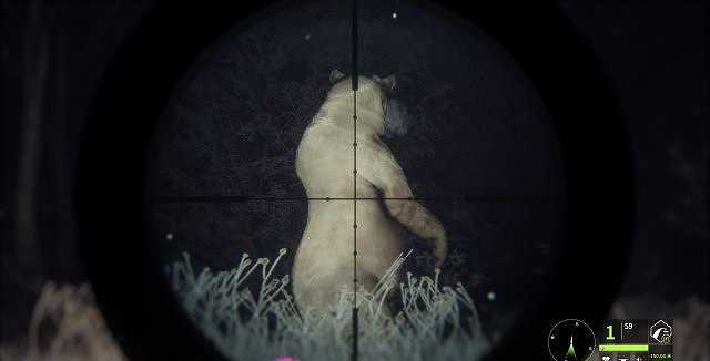 猎人：荒野的呼唤截图7