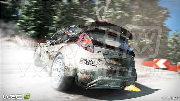 WRC 6截图4