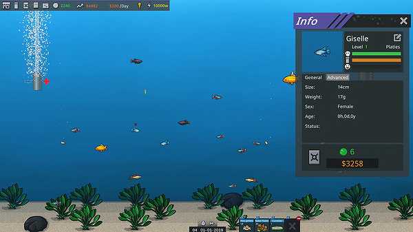 鱼模拟器：水族馆经理截图3