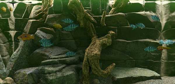 Biotope截图5