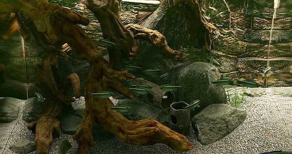 Biotope截图6