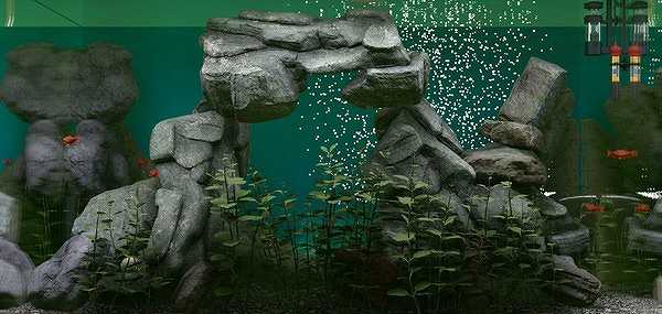 Biotope截图7