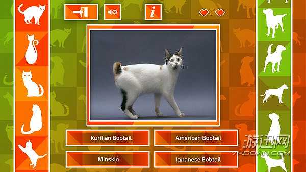 JQ：狗和猫截图4