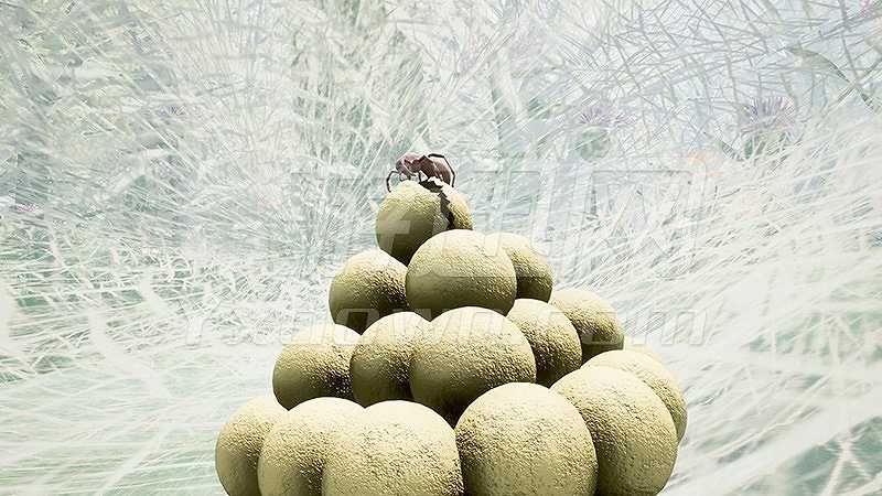 醉在甘露截图5