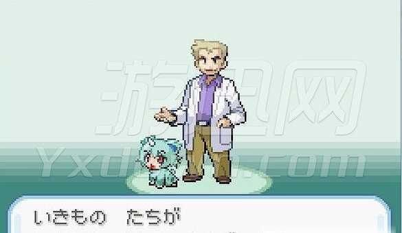 口袋妖怪截图5 口袋妖怪截图5