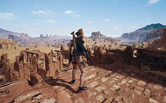 Pubg截图3