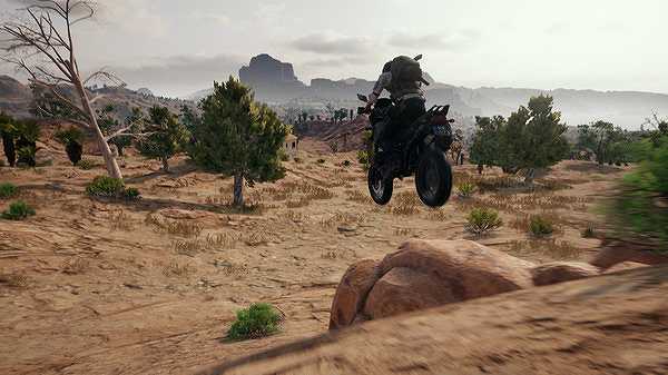 Pubg截图5