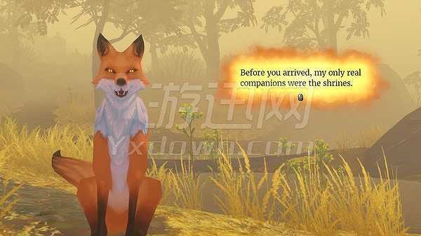 The Wild Eternal 截图3