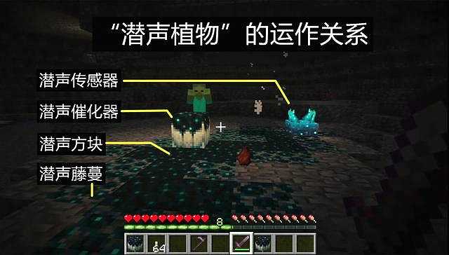 我的世界1.19截图4