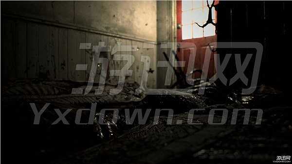 Resident Evil 7截图3