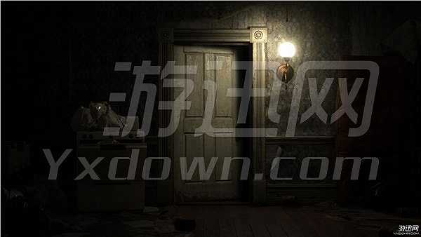 Resident Evil 7截图5