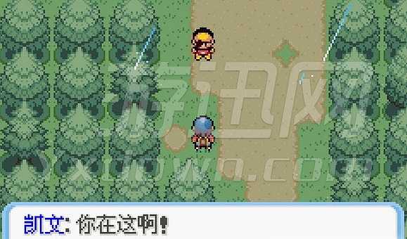 口袋妖怪命运3生命守护者截图4